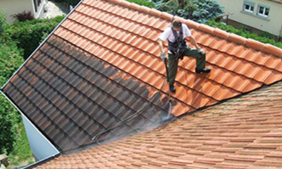 Nettoyage toiture 45