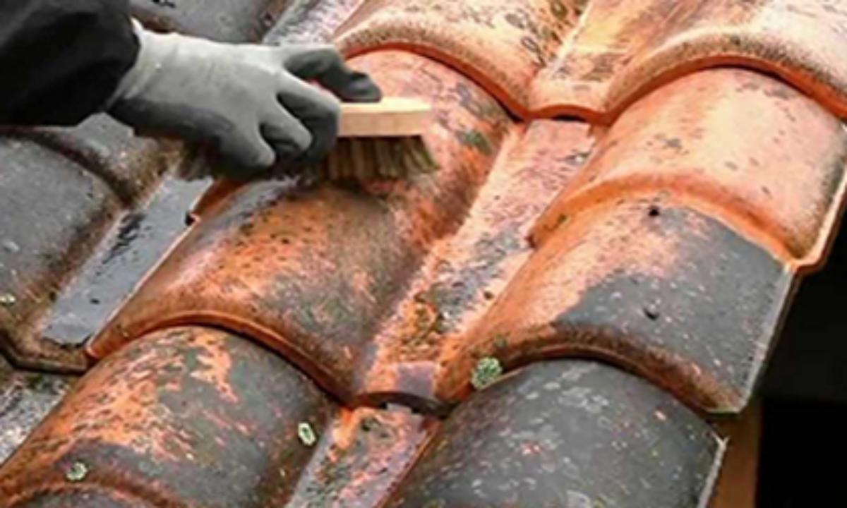 Nettoyage toiture 45