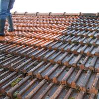 travaux de nettoyage et entretien :